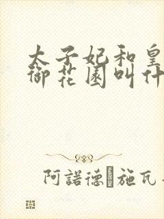太子妃和皇帝在御花园叫什么小说封面