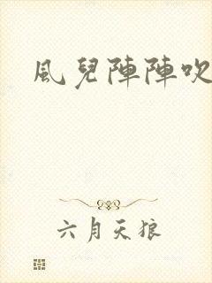 风儿阵阵吹