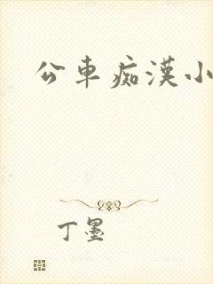 公车痴汉小说封面