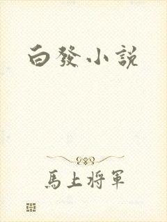 白发小说