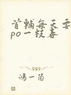 首辅每天要不够po一枝春封面