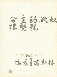 公主的欲奴h四根双龙