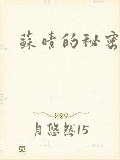 苏晴的秘密小说
