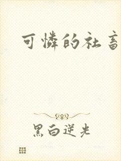 可怜的社畜封面