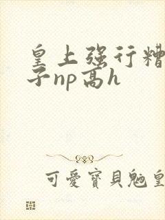 皇上强行糟蹋太子np高h