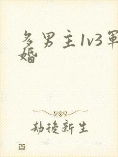 多男主1v3军婚
