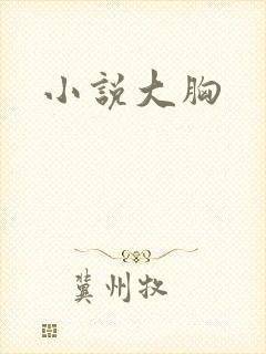 小说大胸