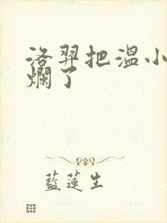 洛羿把温小辉做烂了封面