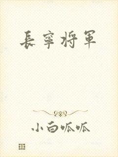 长宁将军封面