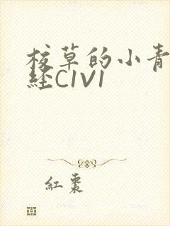 校草的小青梅不经C1V1封面