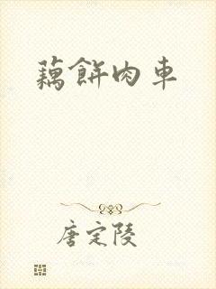 藕饼肉车封面