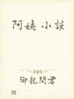 阿姨 小说