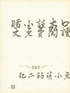 赌小说木口银全文免费阅读笔趣阁