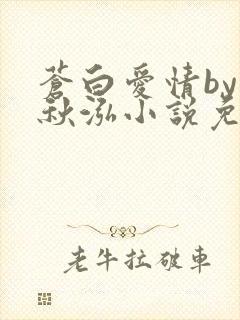 苍白爱情by三秋泓小说免费阅读笔趣阁