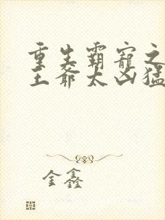重生霸宠之摄政王爷太凶猛封面