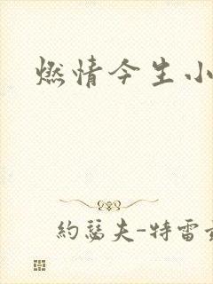 燃情今生小说