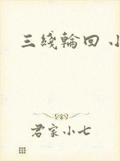 三线轮回 小说封面