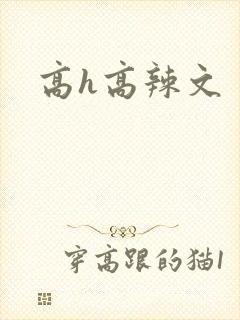 高h高辣文