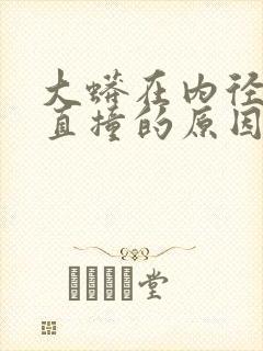 大蟒在内径横冲直撞的原因