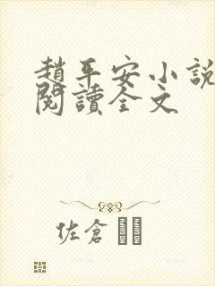 赵平安小说免费阅读全文