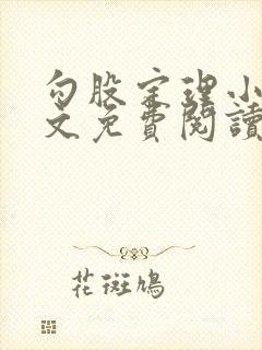 勾股定理小说全文免费阅读无弹窗笔趣阁