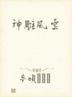 神雕风云封面