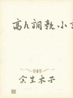 高h调教小说