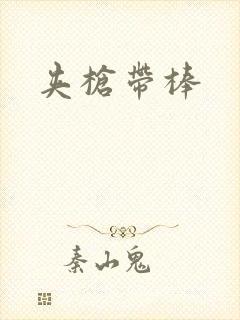 夹枪带棒