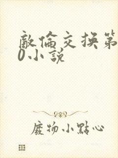 敌伦交换第150小说封面
