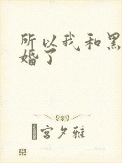 所以我和黑粉结婚了