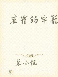 哀雀的牢笼