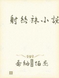射丝袜小说