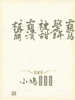 校霸被学霸玩到崩溃甜饼写手