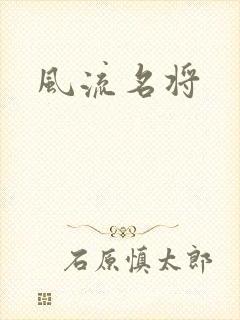 风流名将封面