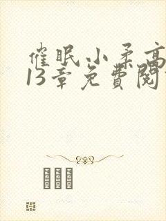 催眠小柔高达第13章免费阅读