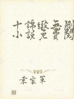 十锦缎无删原著小说免费阅读封面