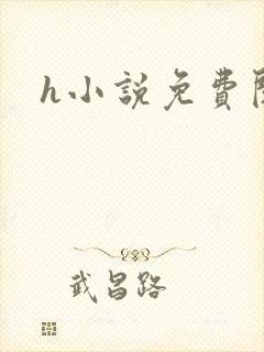h小说免费阅读