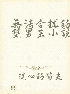 无法合拢的总裁双男主小说