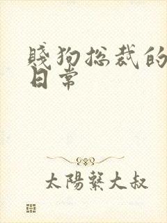 贱狗总裁的私教日常