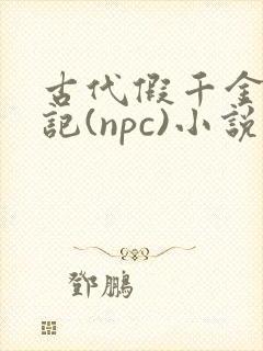 古代假千金挨日记(npc)小说