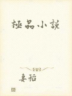 极品小说