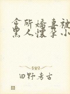 会所娇妻被多个黑人怀孕小说封面