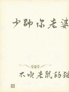 少帅你老婆