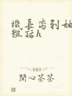 机长脔到她哭h粗话h