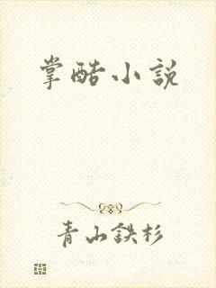 掌酷小说