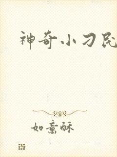 神奇小刁民