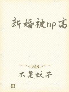 新婚被np高h封面