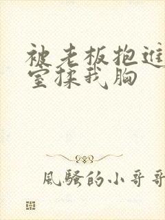 被老板抱进办公室揉我胸封面