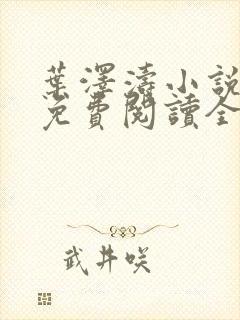 叶泽涛小说全文免费阅读全文封面