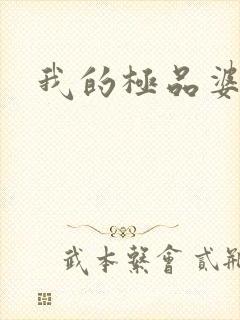 我的极品婆婆